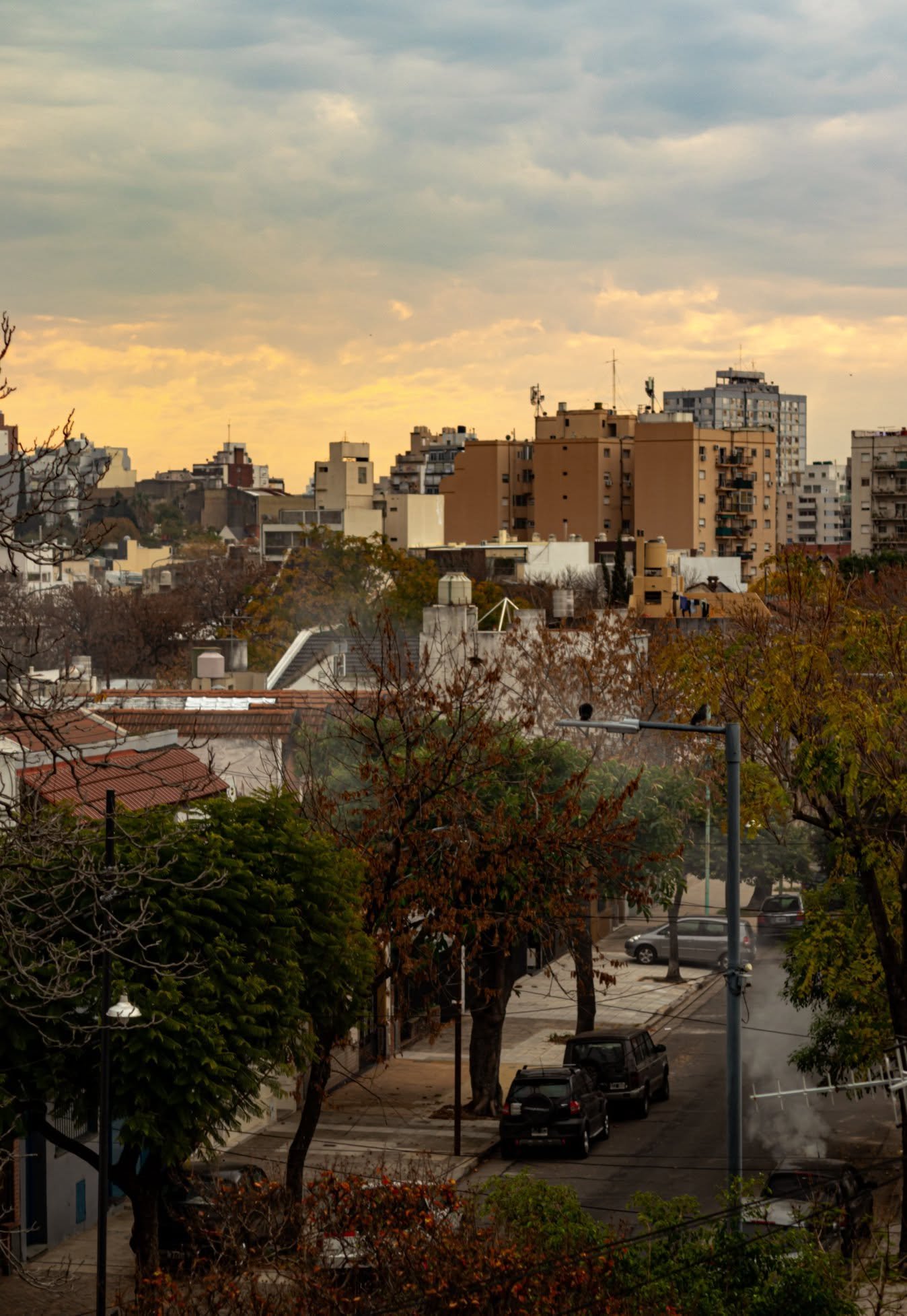 ventana tardfe